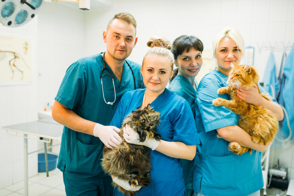 Veterinarians poses with cats, veterinary clinic
